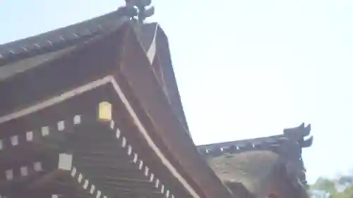 大神神社(奈良県)