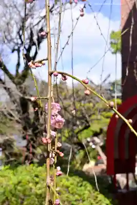 出雲大社相模分祠(神奈川県)
