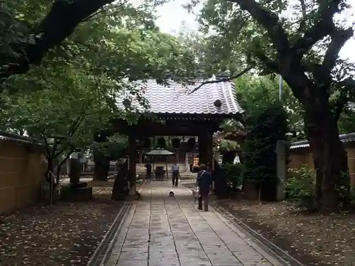新井薬師（梅照院）の山門・神門