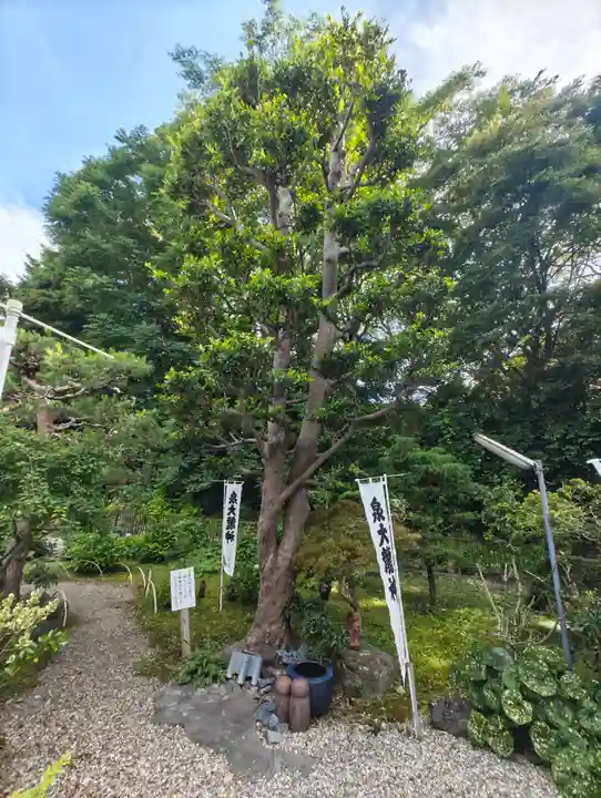 宝寿院(愛知県)