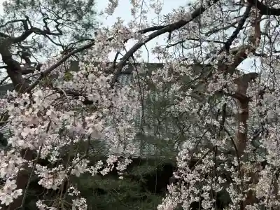 中院の{uncategorized: "未分類", other: "その他", undefined: "問題あり", building: "その他建物", grave: "お墓", sacred_gate: "鳥居", guardian: "狛犬", statue: "像", buddha: "仏像", history: "歴史", nature: "自然", garden: "庭園", animal: "動物", pagoda: "塔", temizu: "手水舎", mountain_gate: "山門・神門", sanctuary: "本殿・本堂", subordinate: "末社・摂社", art: "芸術", scenery: "景色", jizo: "地蔵", ema: "絵馬", goshuin: "御朱印", omikuji: "おみくじ", items: "授与品その他", amulet: "お守り", goshuincho: "御朱印帳", eats: "食事", festival: "お祭り", votive_dance: "神楽", shichigosan: "七五三参", wedding: "結婚式", experience: "体験その他", initially: "初詣", around: "周辺", anti_infection: "感染症対策"}