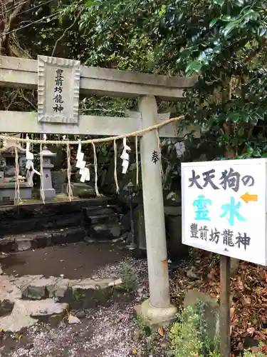 英彦山豊前坊高住神社の鳥居