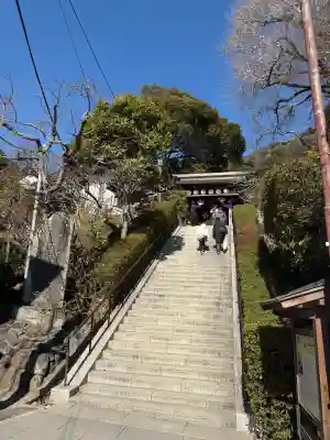 荏柄天神社(神奈川県)