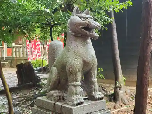 稲荷神社の狛犬