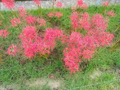 横浜　西方寺(神奈川県)