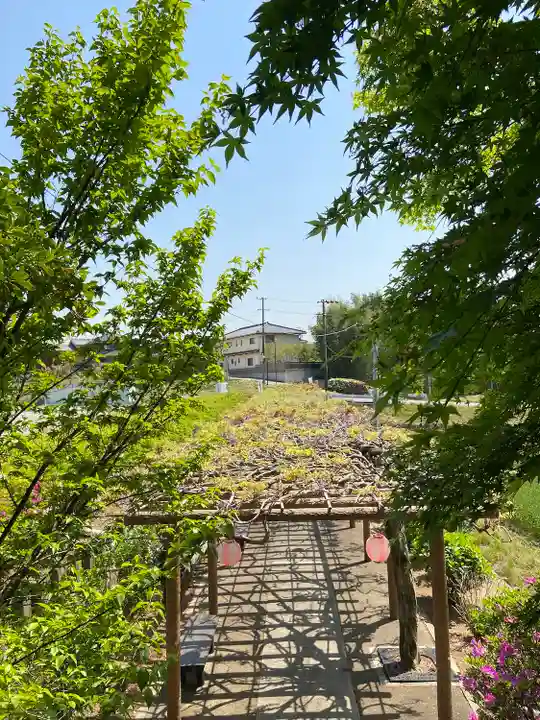 城ヶ入観音の自然