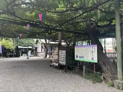 國領神社(東京都)