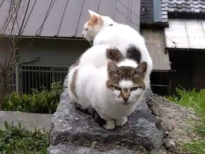 熊野若王子神社(京都府)