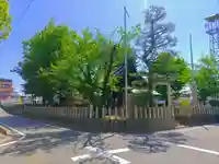 神明社(西枇杷島宮前)の自然