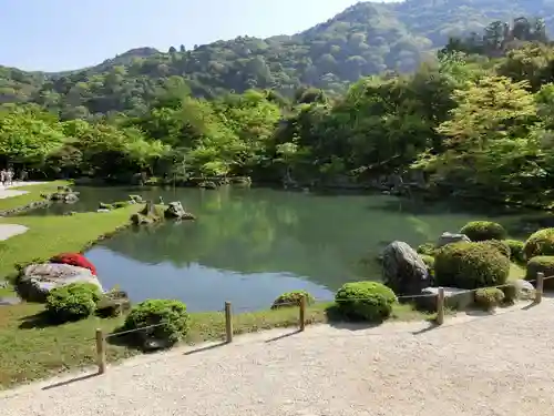 天龍寺の庭園