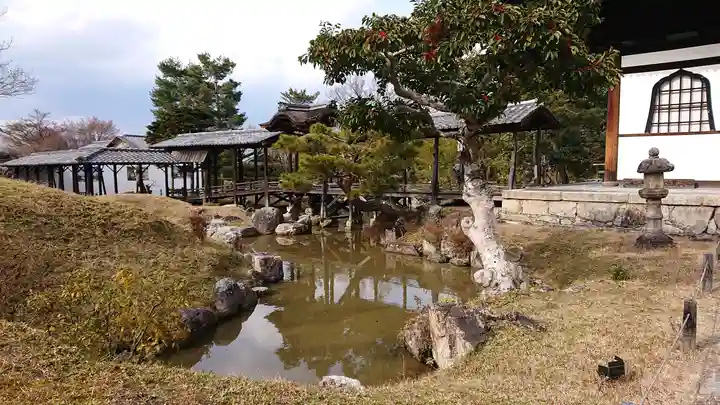 高台寺(高台寿聖禅寺・高臺寺)(京都府)