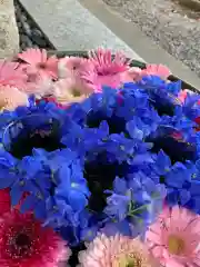 彌都加伎神社の手水