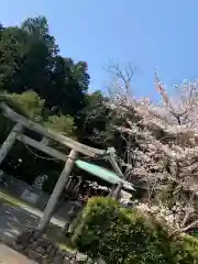 賀茂神社の鳥居