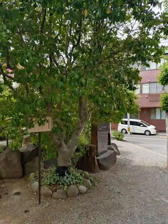 鎮守氷川神社(埼玉県)