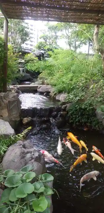 龍眼寺(萩寺)の庭園