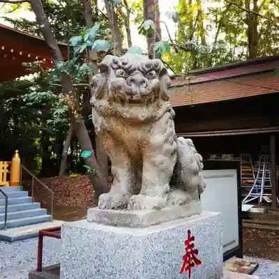 小金井神社の狛犬