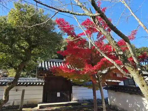 摩尼院（金剛寺子院）(大阪府)