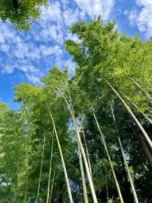 鷺宮八幡神社(東京都)