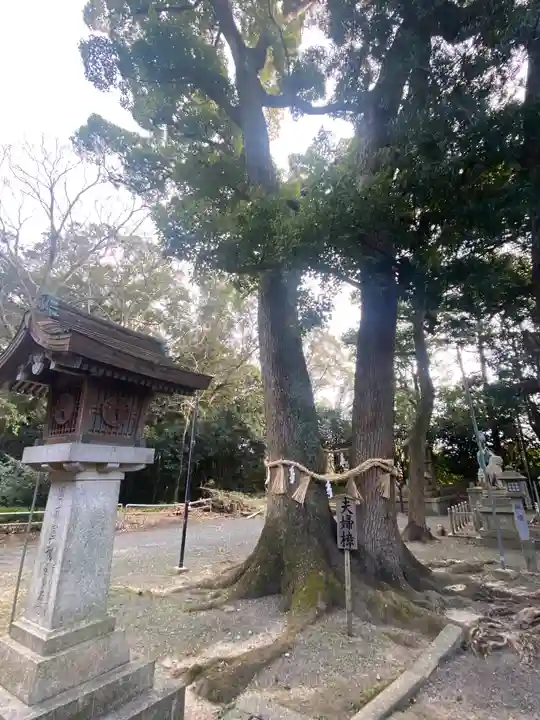 男神社の自然