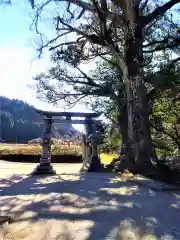 乳母神社(佐賀県)