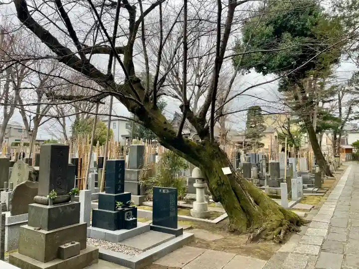 大林寺の{uncategorized: "未分類", other: "その他", undefined: "問題あり", building: "その他建物", grave: "お墓", sacred_gate: "鳥居", guardian: "狛犬", statue: "像", buddha: "仏像", history: "歴史", nature: "自然", garden: "庭園", animal: "動物", pagoda: "塔", temizu: "手水舎", mountain_gate: "山門・神門", sanctuary: "本殿・本堂", subordinate: "末社・摂社", art: "芸術", scenery: "景色", jizo: "地蔵", ema: "絵馬", goshuin: "御朱印", omikuji: "おみくじ", items: "授与品その他", amulet: "お守り", goshuincho: "御朱印帳", eats: "食事", festival: "お祭り", votive_dance: "神楽", shichigosan: "七五三参", wedding: "結婚式", experience: "体験その他", initially: "初詣", around: "周辺", anti_infection: "感染症対策"}