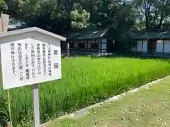 大山祇神社(愛媛県)