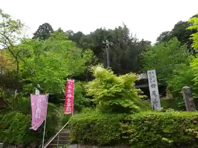桧尾寺(滋賀県)