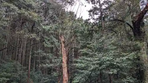金峰神社の自然