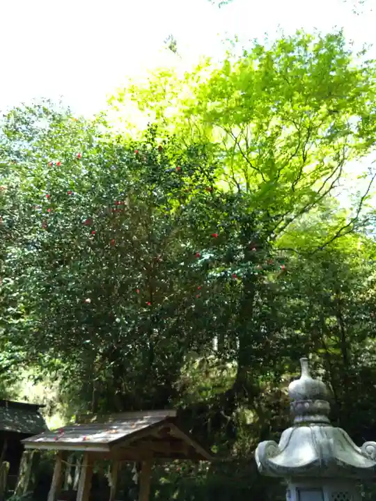 国造神社(熊本県)