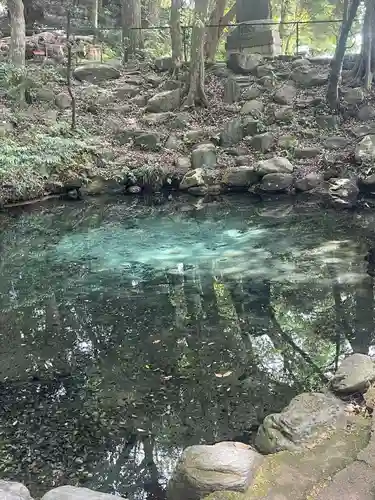 泉神社(茨城県)