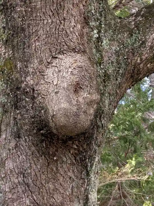 事任八幡宮(静岡県)