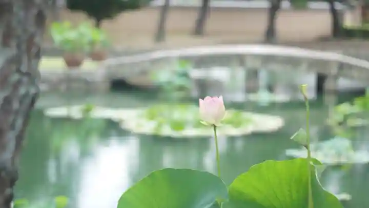 相国寺(相国承天禅寺)(京都府)