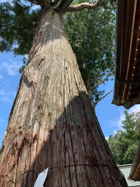 大宮八幡宮(兵庫県)
