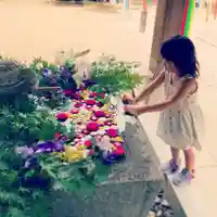 滑川神社 - 仕事と子どもの守り神の手水舎