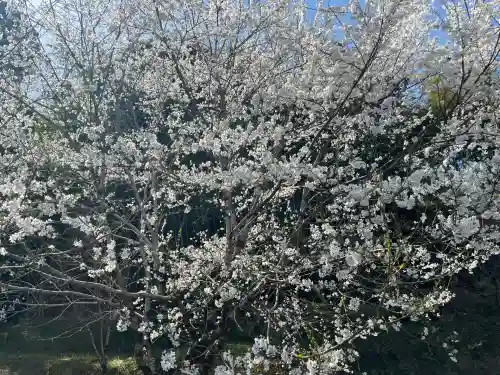 吉祥寺(岐阜県)
