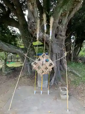 稲荷神社(千葉県)