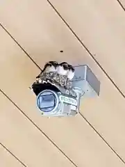 須賀神社の動物