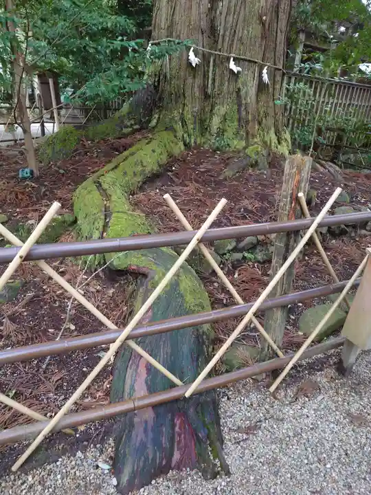 須佐神社(島根県)
