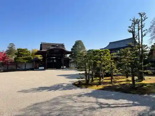 仁和寺(京都府)