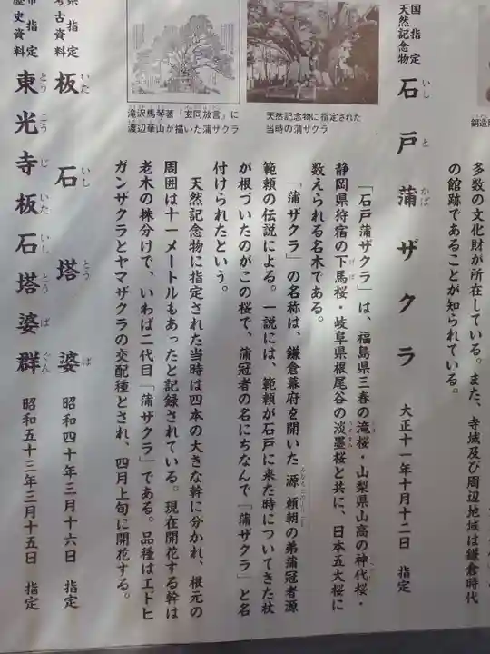 東光寺(埼玉県)