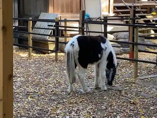 平塚八幡宮(神奈川県)