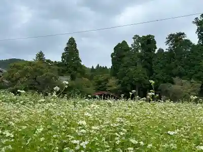 丹生都比売神社(和歌山県)