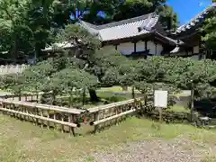 玉前神社(千葉県)