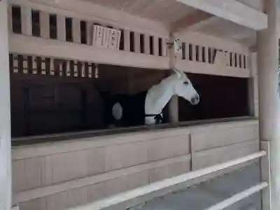 伊勢神宮外宮（豊受大神宮）(三重県)