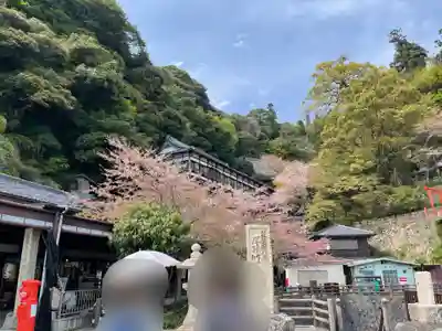 宝厳寺(滋賀県)