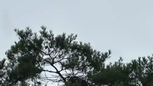 新荘護國神社(山形県)