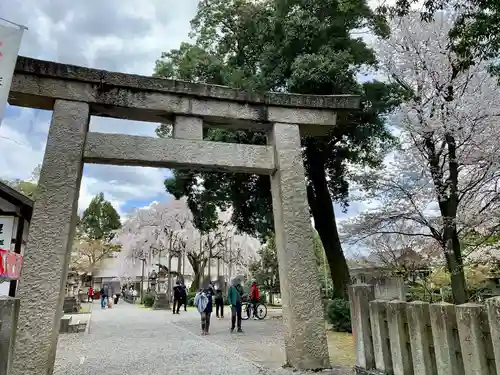 足羽神社の鳥居