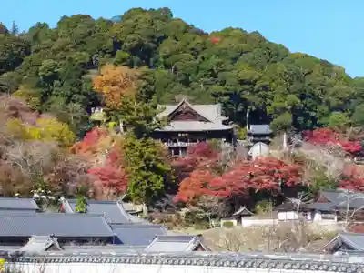 長谷寺本坊　大講堂(奈良県)