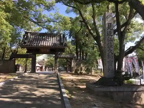 遍照院の山門