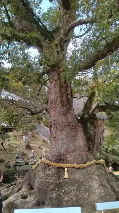 観音寺(香川県)